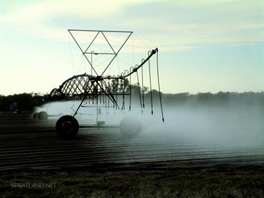 Evening Farm Sprinkler System, Myalup, Western Australia